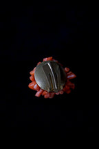 1950's Pink Coral Earrings