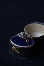 1850's Double Rose Cut Diamond Ring