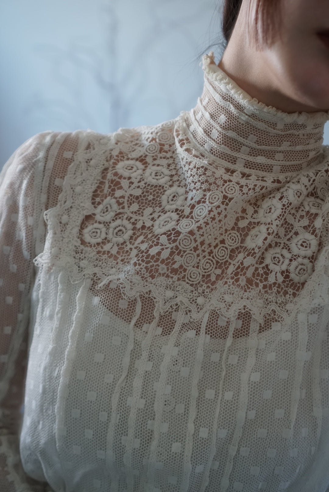 Edwardian High Neck Lace Blouse