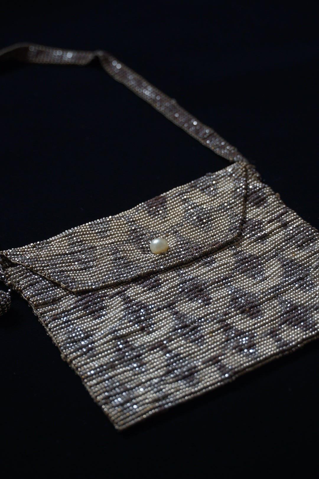 1920's Steel Cut Beaded Purse Flapper