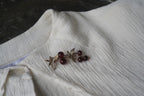 1930's Western elderberry Brooch