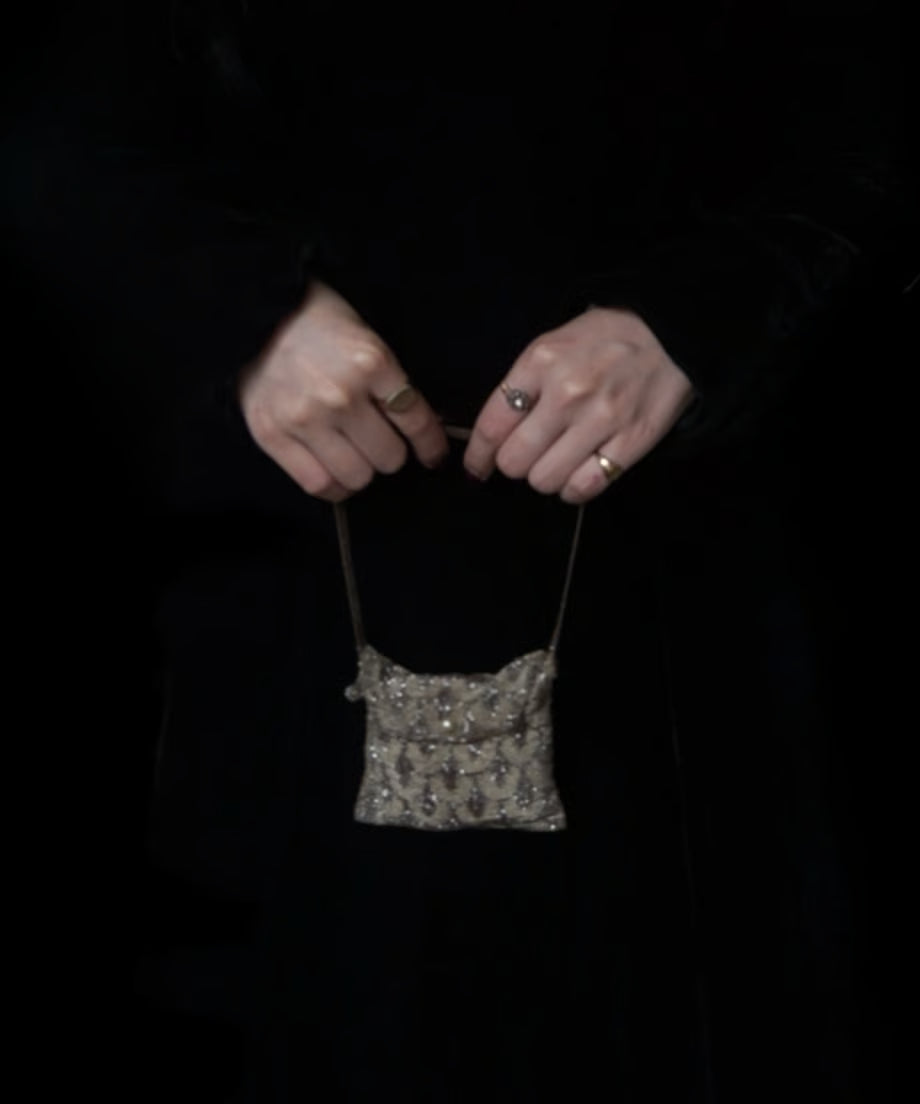 1920's Steel Cut Beaded Purse Flapper